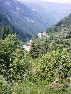 Im Jura